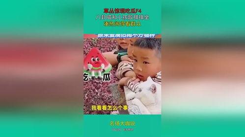 吃瓜的宝贝免费全集在线观看,免费全集在线观看，揭秘娱乐圈幕后风云  第3张