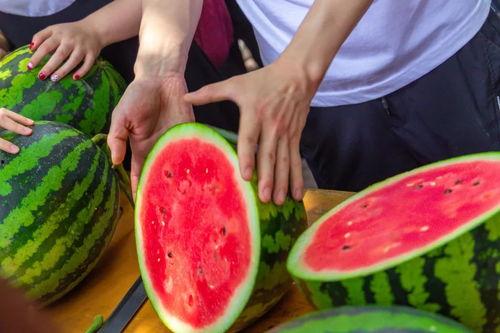 郑州大学免费吃瓜,免费瓜果盛宴,共享清凉时光 第1张 郑州大学免费吃瓜,免费瓜果盛宴,共享清凉时光 第1张