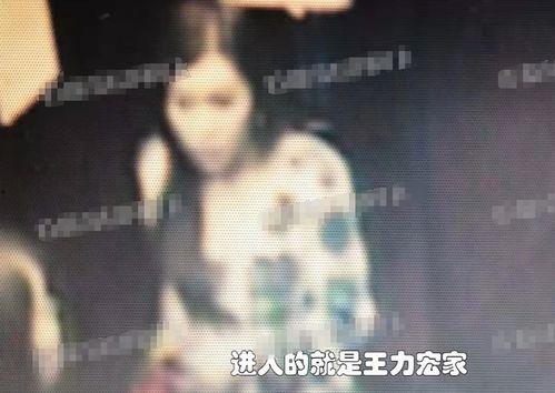 伟哥哥前妻爆料视频,揭秘婚姻内幕与情感纠葛  第1张